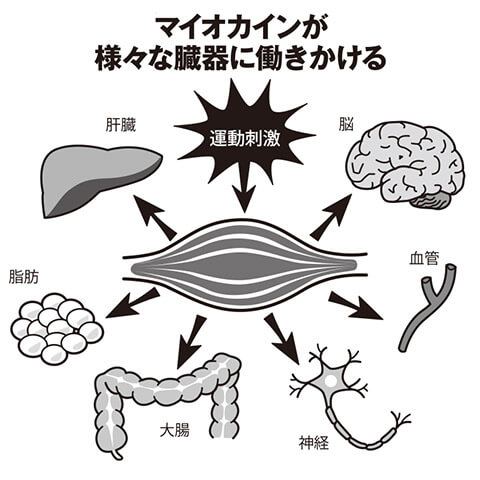 イラスト・シオダワナミ