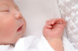 赤ちゃんはコウノトリが運んでくる 2人目の作り方が分からない夫婦がとる行動 デイリー新潮 赤ちゃんはコウノトリが運んでくる 2人目の作り方が分からない夫婦がとる行動 デイリー新潮