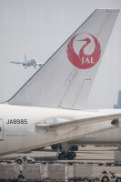 日本航空（JAL）