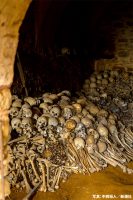 『孤高の祈り ギリシャ正教の聖山アトス』より