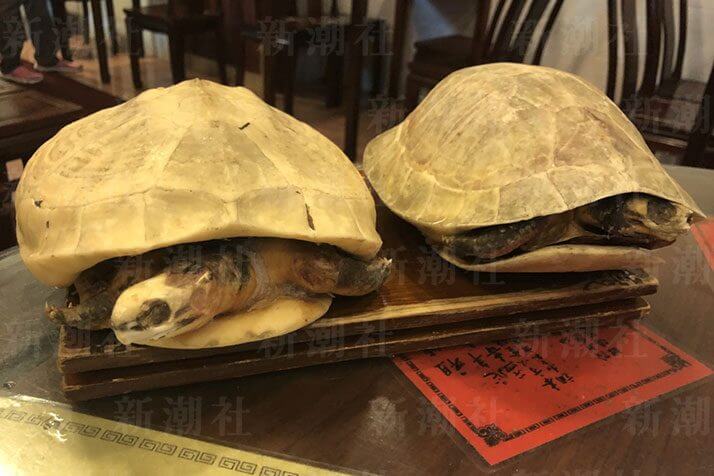 食べるなら“今”