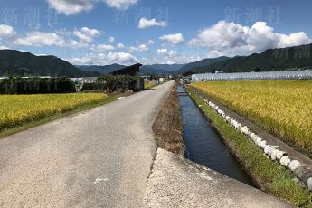 「当たり前の日常」を感じられる、里山の風景