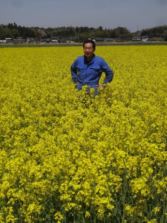 8年目の3.11：「風評被害」南相馬で「菜種油」が広げる「未来図」