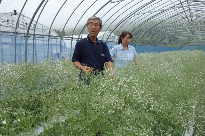 荒れ野の古里に花を咲かせた「飯舘村」の「帰還農家」