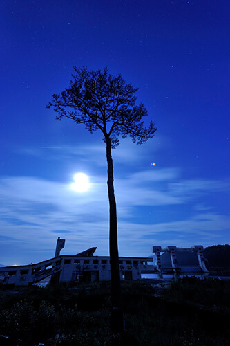 岩手県陸前高田市