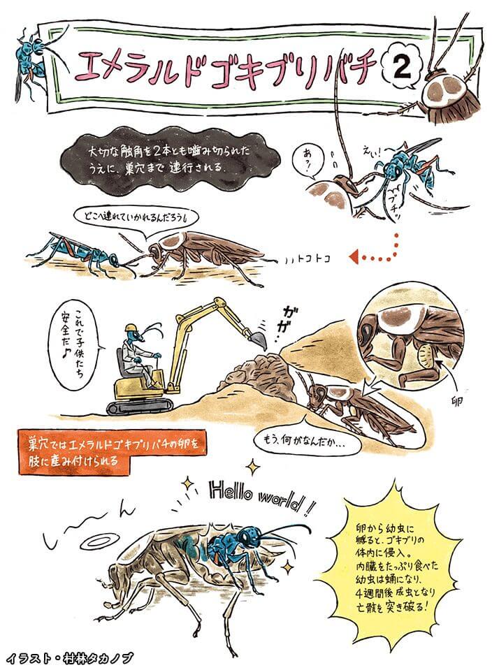 ロボトミー 手術 と は