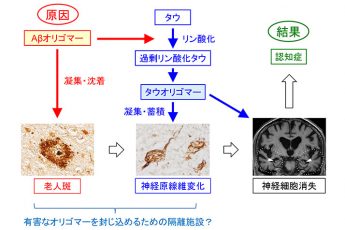 （図2）カラー