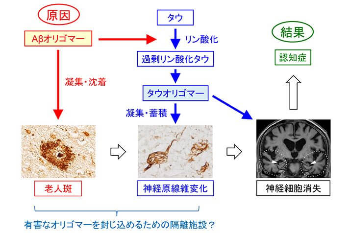 （図2）カラー