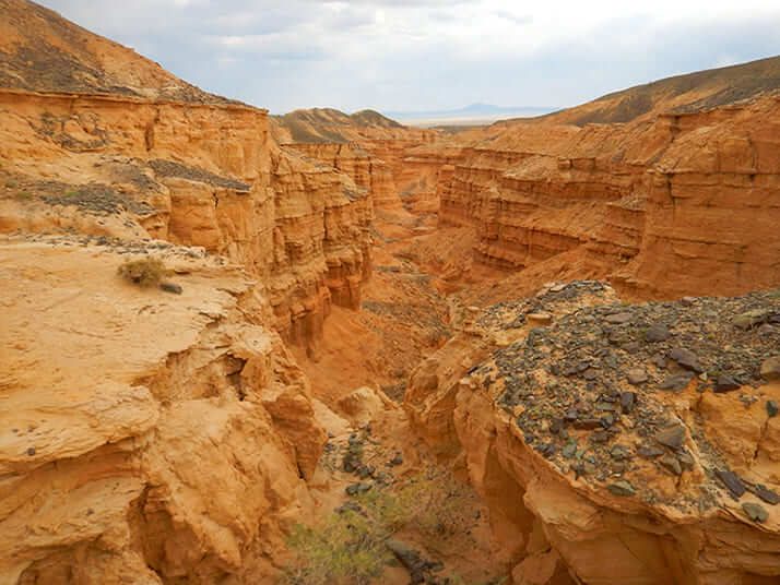ゴビ砂漠のネメグト盆地