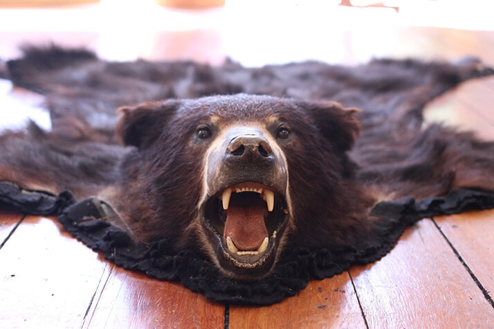 ヒグマに頭をかじられアゴも半分失い死にかけた猟師が、それでも「クマ