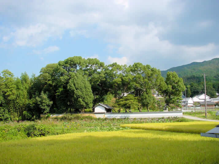 日韓「半島外交」失敗の歴史で見える「中臣鎌足」の正体　国際人のための日本古代史（）