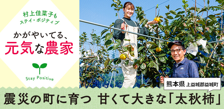 震災の町に育つ 甘くて大きな「太秋柿」――かがやいてる、元気な農家
