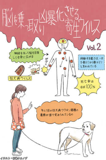 感染した人間を死に至らしめる狂犬病ウイルスから回復した少女【えげつない寄生生物】