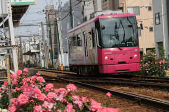 都電荒川線