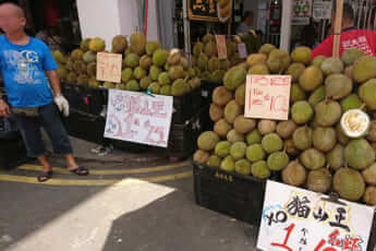 コロナ3（末永恵さん原稿）