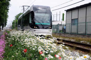 路面電車1（小川裕夫の原稿）