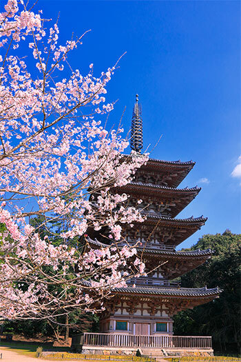 醍醐寺