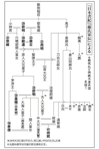 『日本書紀』『藤氏家伝』による蘇我氏と持統天皇系図1
