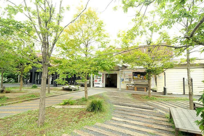 小湊鉄道の養老渓谷駅