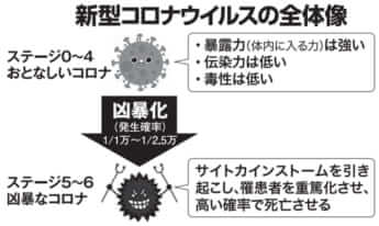 新型コロナウイルスの全体像
