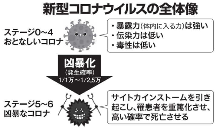 新型コロナウイルスの全体像