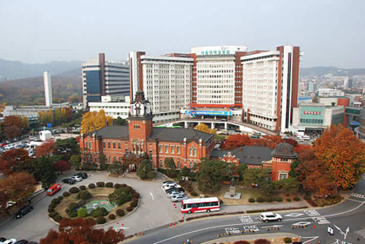 ソウル大学(医学部)
