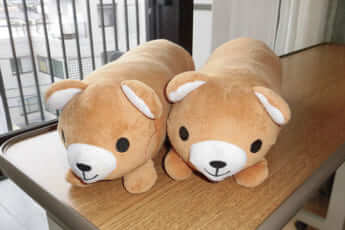 足載せクッションも、見た目が楽しいものを。（しまむらで購入）