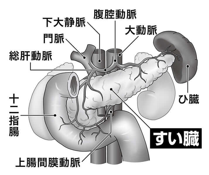 すい臓