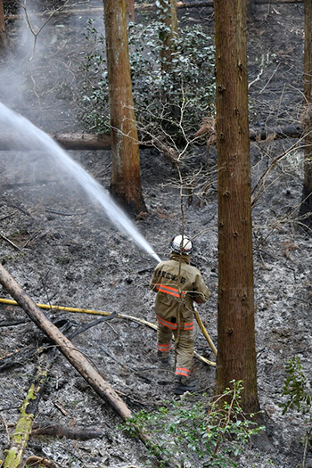 栃木県足利市の山火事