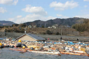 大量の漂着物が押し寄せた被災現場（撮影＝笹幸恵）