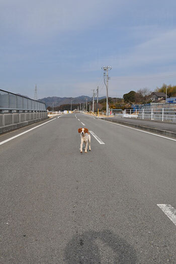 記者が見た311直後の福島_1