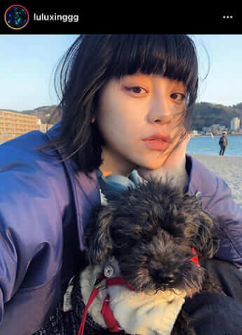 る鹿のInstagramより