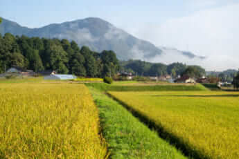 田舎イメージ