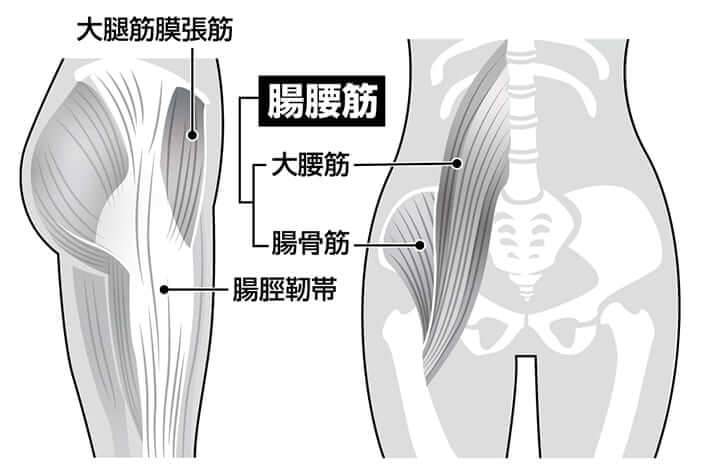 筋肉