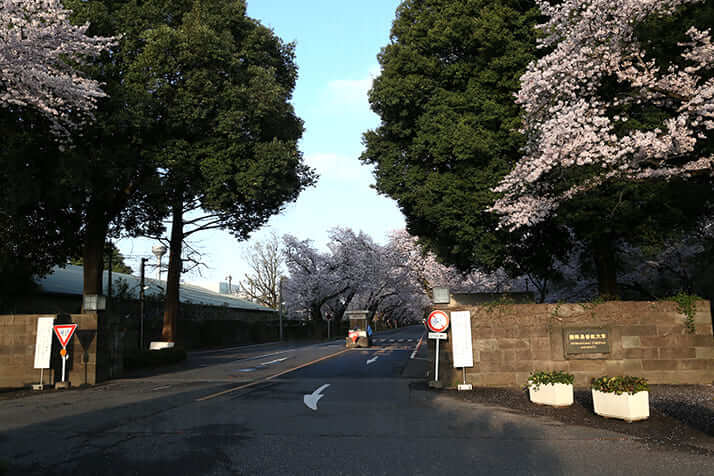 国際基督教大学