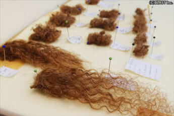 クローンワンコ8