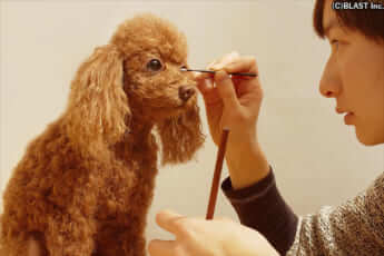 クローンワンコ10