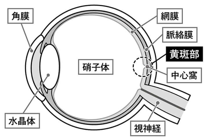 図