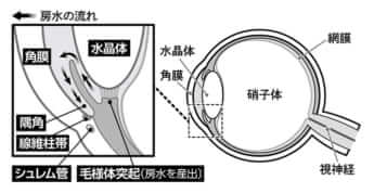 図