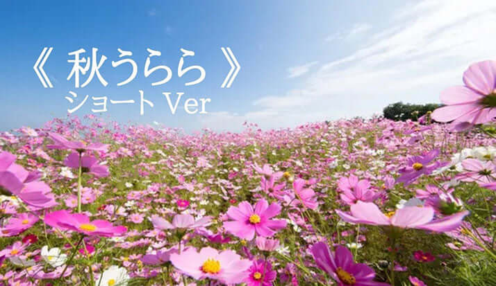 「秋うらら」