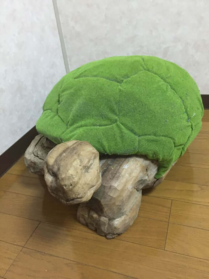 亀