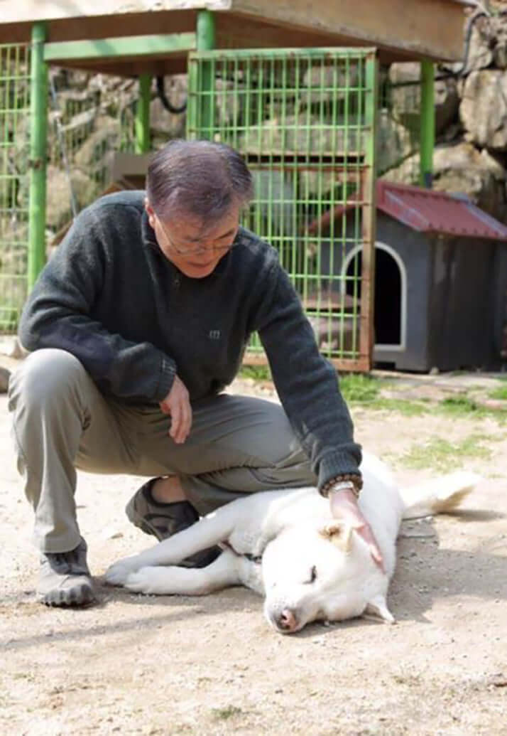 韓国 王から庶民にまで愛された犬肉食が廃れ 鶏肉食が盛り上がってきた理由 デイリー新潮 韓国 王から庶民にまで愛された犬肉食が廃れ 鶏肉食が盛り上がってきた理由 デイリー新潮