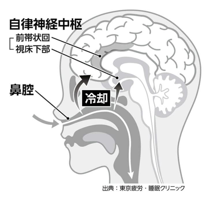 図