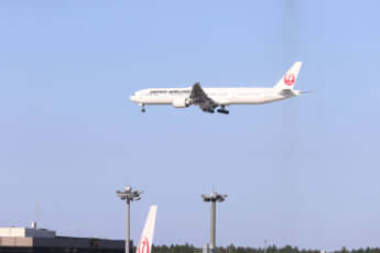 小室圭を乗せたJAL便