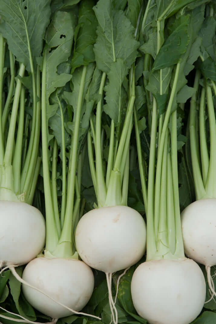 山下さんが手がけたカブ