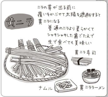 イラスト・まんきつ