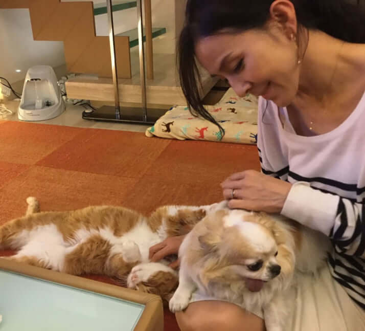 3ページ目 1000匹多頭飼育 母犬を無麻酔で帝王切開 杉本彩さんが告発した悪徳ブリーダーのひどすぎる実態 デイリー新潮