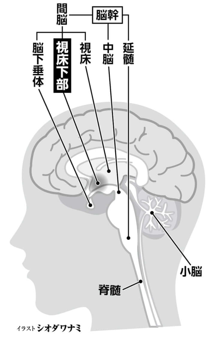 図