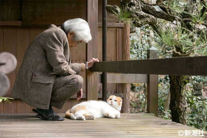 養老孟司さんと愛猫のまる