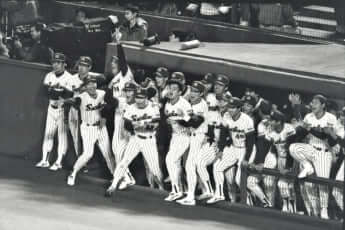 東京ヤクルトスワローズ